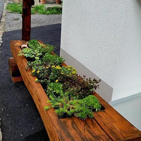 Baerghaesli Im Beo Als Basis Im Wintersportgebiet Apartament Gsteigwiler