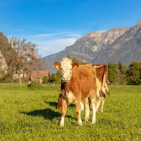 Baerghaesli Im Beo Als Basis Im Wintersportgebiet דירה גסטייגוילר