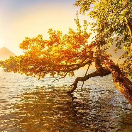 Baerghaesli Im Beo Als Basis Im Wintersportgebiet