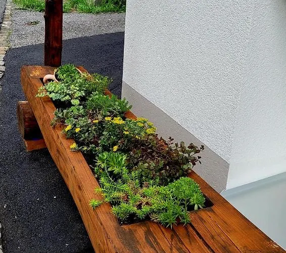 Baerghaesli Im Beo Als Basis Im Wintersportgebiet Lejlighed Gsteigwiler