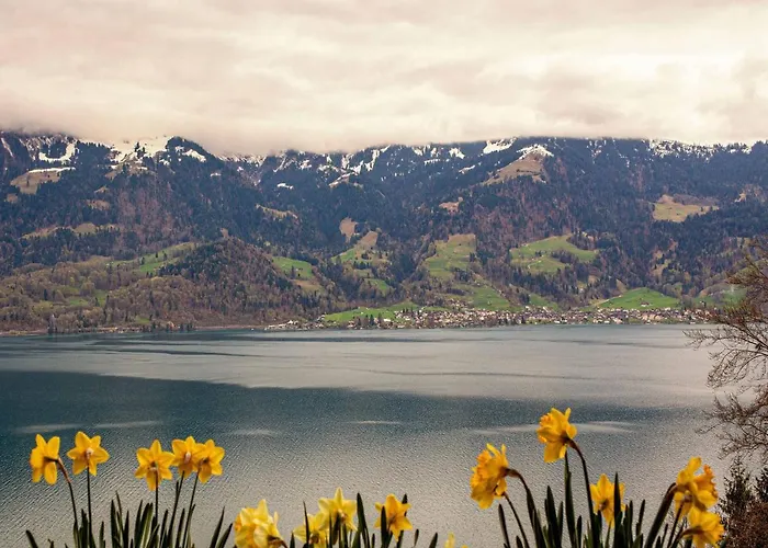 Baerghaesli Im Beo Als Basis Im Wintersportgebiet Appartamento *