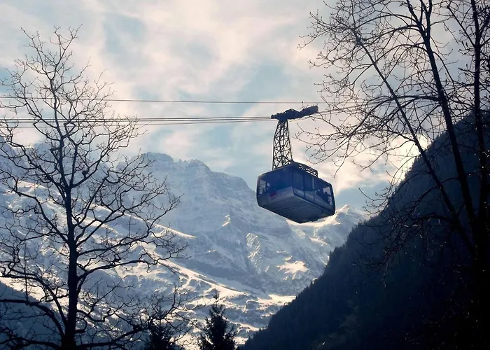 Appartamento Baerghaesli Im Beo Als Basis Im Wintersportgebiet *