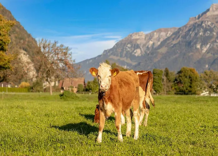 Baerghaesli Im Beo Als Basis Im Wintersportgebiet Appartamento Gsteigwiler