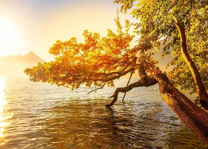 Baerghaesli Im Beo Als Basis Im Wintersportgebiet