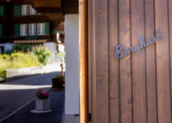 Appartamento Baerghaesli Im Beo Als Basis Im Wintersportgebiet *