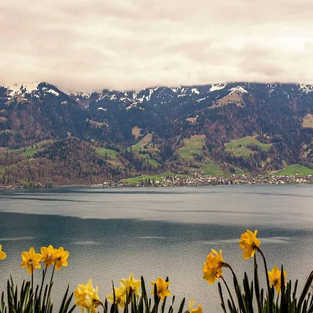 Baerghaesli Im Beo Als Basis Im Wintersportgebiet Appartement *