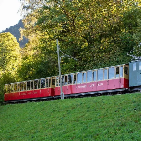 Baerghaesli Im Beo Als Basis Im Wintersportgebiet *